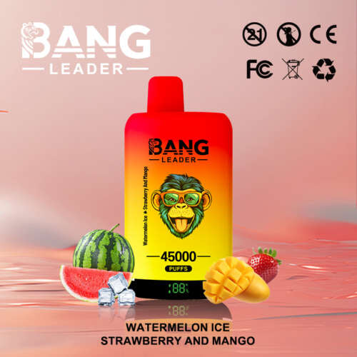 45K Bang Leader – Two Flavours – Watermelon Ice / Strawberry Mango